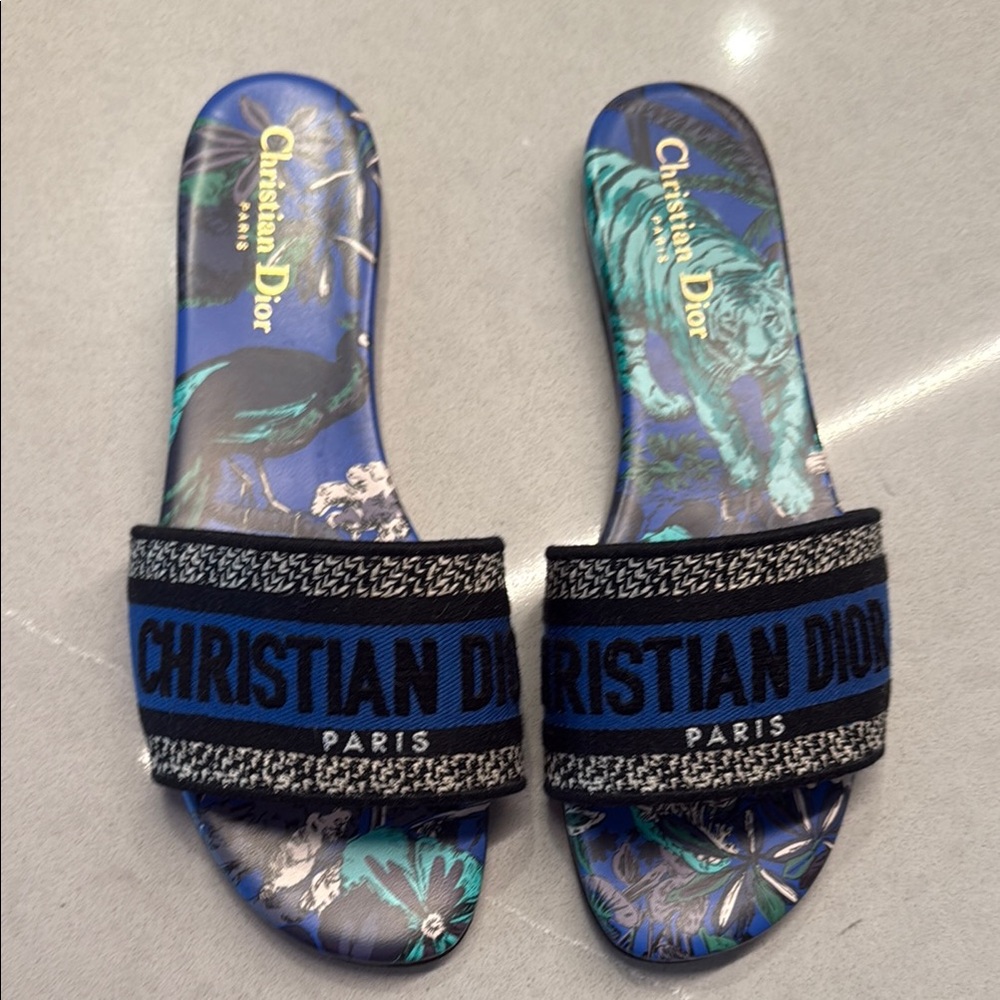 Dior Blue and Black Slide Sandals